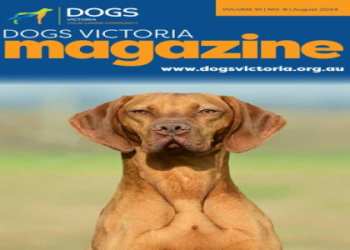 Veronika Shkliaeva: Is she on social media? (Get all her latest updates)