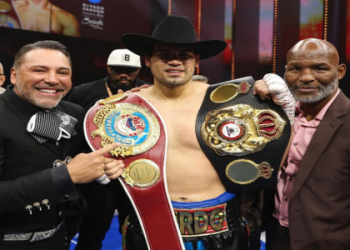 What is seldin mma? Learn The Basics of This Fighting Style Now!