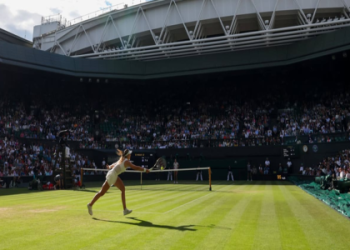 Zverev vs Marozsan Prediction: Expert Picks and Odds!