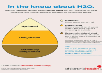 Football Cup Protection: Simple Ways to Stay Safe