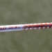 Get the Scoop! Rory McIlroy Signs Massive Nike Sponsorship Deal Again.