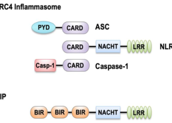Mccomb Record Lookup: Get the Latest Info and Data Quickly Online Now.