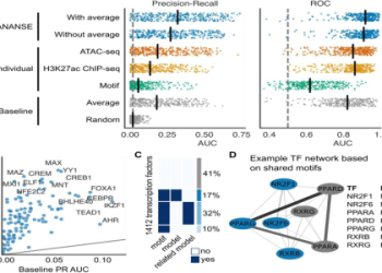 Diego Schwartzman Prediction: Simple Guide & Winning Odds