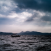 Why is intimacy wuthering waves important? (Discover its benefits)