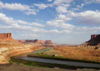 Dealing with gray zone nausea? Try these simple home remedies!