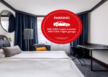 Checking Vienna Open Scores: Find Out Here