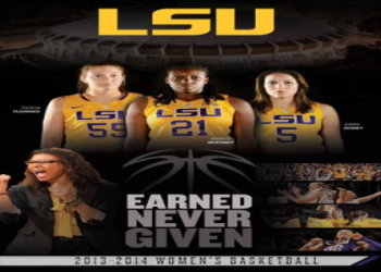 Is the current fiba basketball price worth the investment? Analyzing the real cost versus the ball quality you receive.