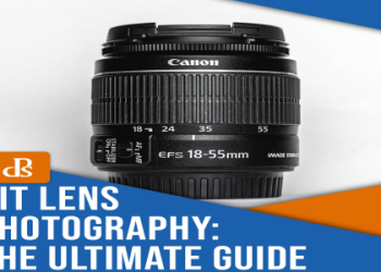 Infinite Craft Secrets: Making a Dog is Easier Than You Think